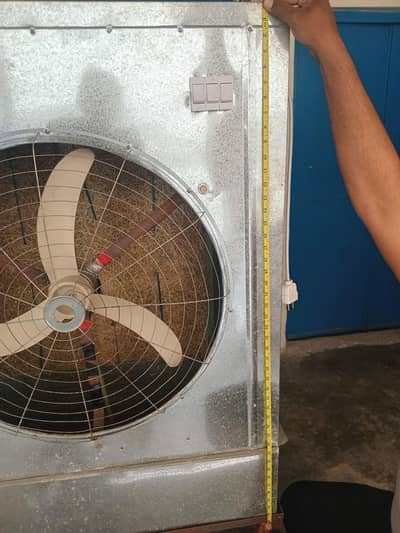 room color DC lahore