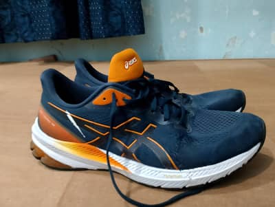 imported ascis GT-1000 12 in very reasonable price