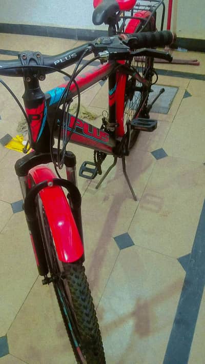 bicycle in lush condition