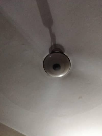 GFC fan king size 56 inch fast speed