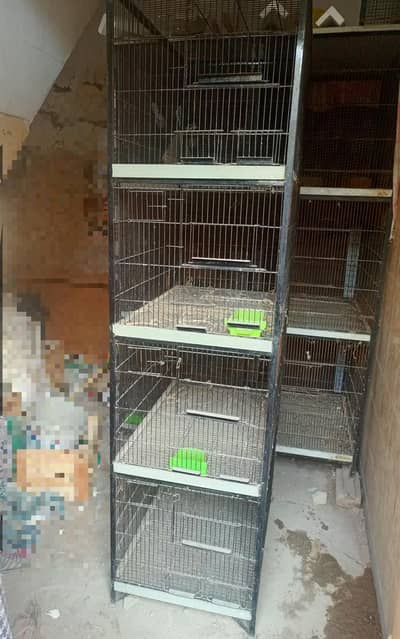 4 Portion Cage  0324 85 31 614