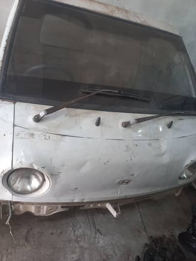 shehzor ciaban for sale