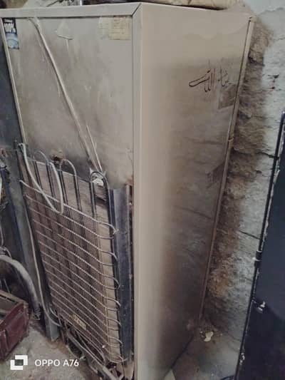 use fresh condition frej goldn colr