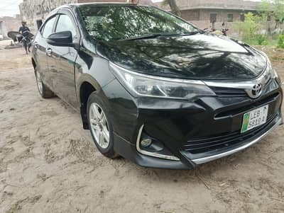 Toyota Corolla GLI 2017 new light