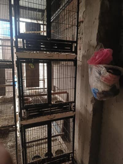 cage for sale 6 cage h 8 number wire or 9 number wire ma h