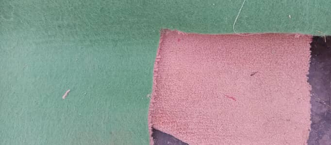 Kaleen Carpet For Sale