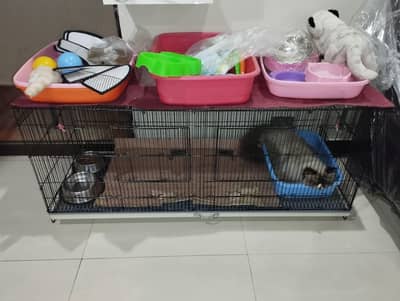 cate dog hen brand new cage with partition