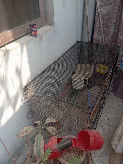 Big size cage available for sale