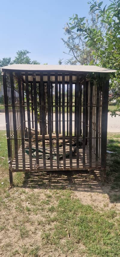Dog iron cage