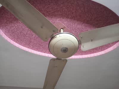 Celling Fan