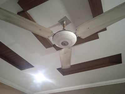 celling fan
