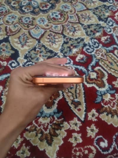 Xr convetrted iphone 17 pro