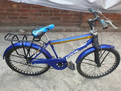 phoenix cycle condition is very good