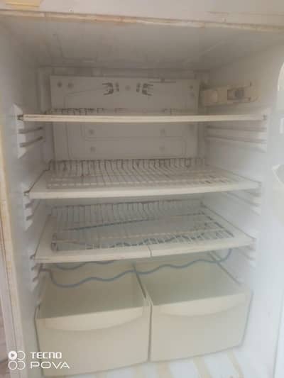 pel fridge