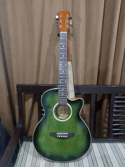 professional acoustic guitar