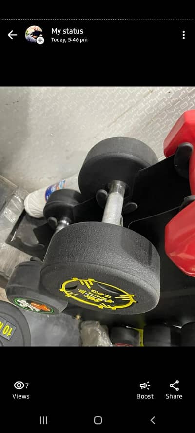 dumbells and caterpilars