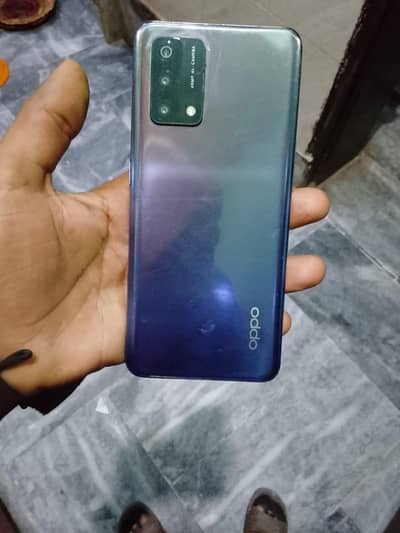 koi fight Nahin03084953743