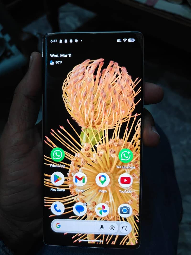 google pixel 6 pro 3