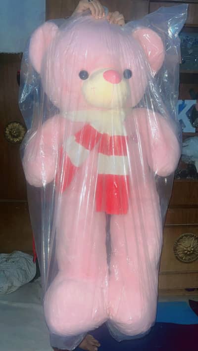 new teddy bear