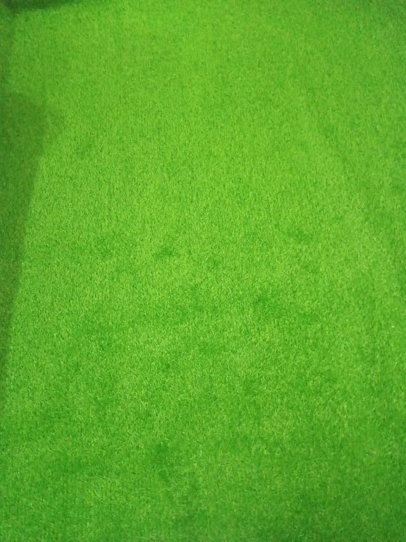 grass mat 1
