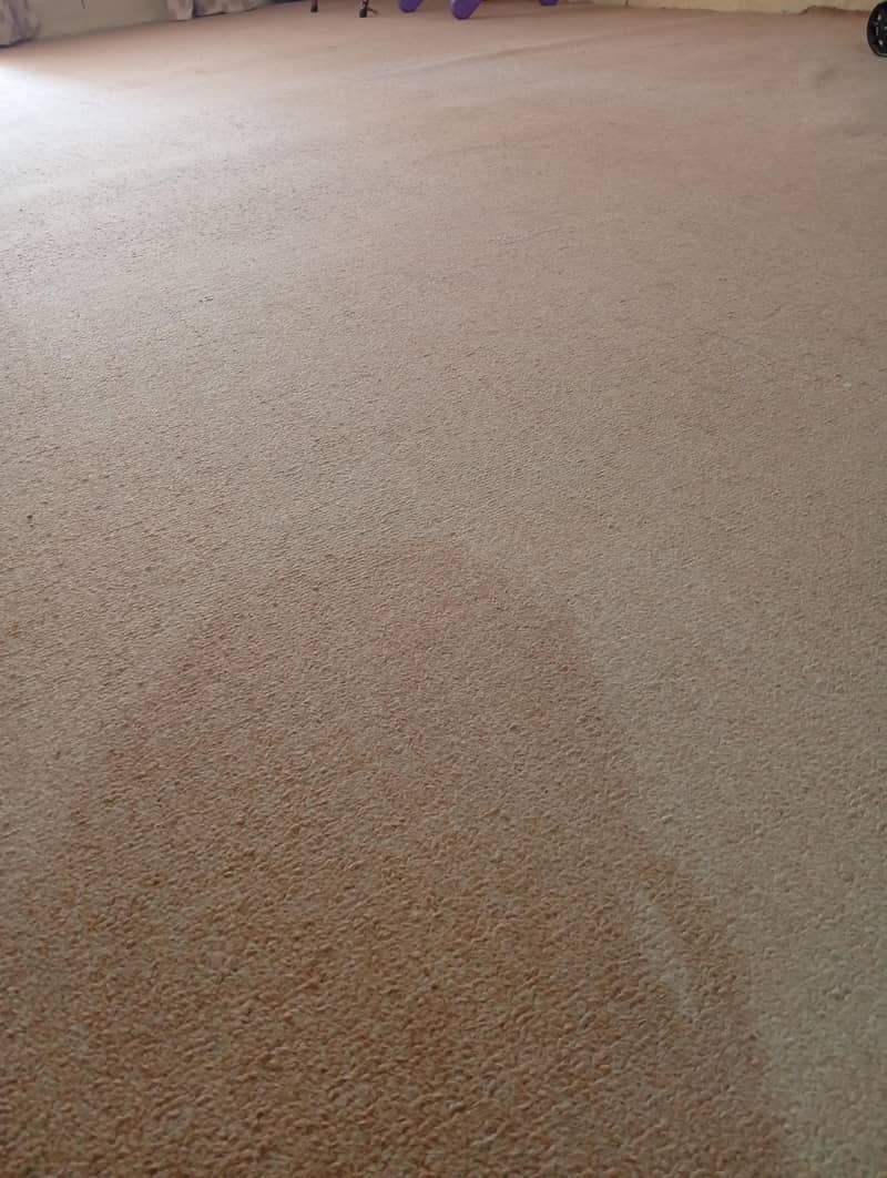 Carpet 0