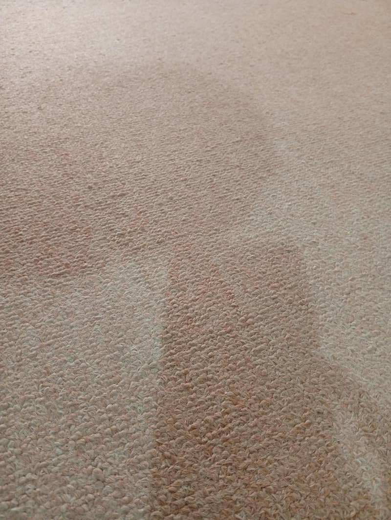Carpet 1