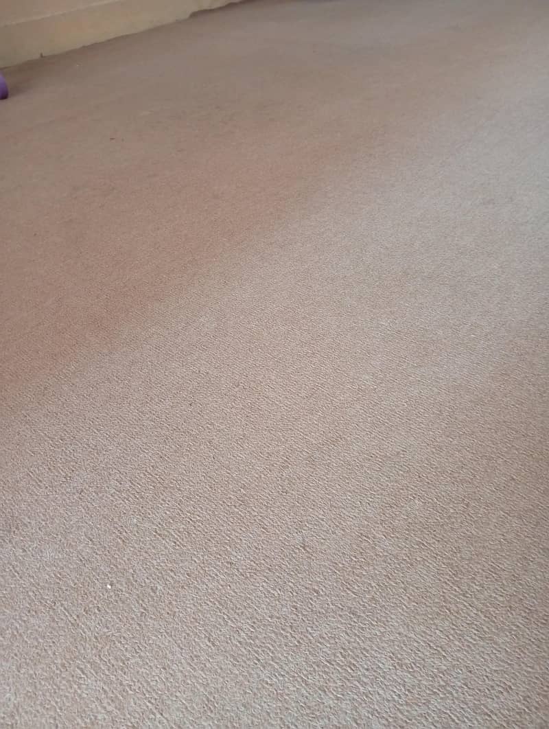 Carpet 2