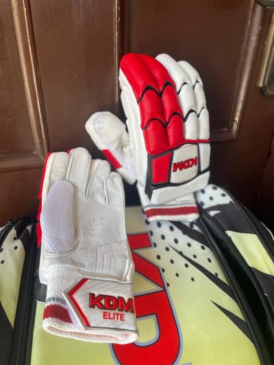 pair of cricket gloves