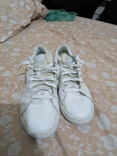 Nike court royale 2 original