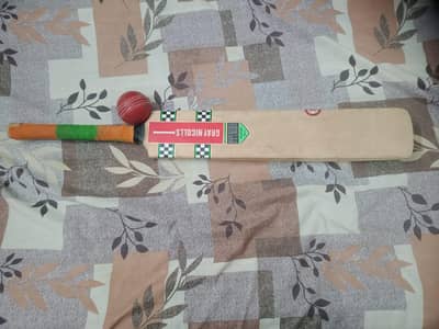 GRAY NICHOLLS hard ball cricket bat with practice rubber ball