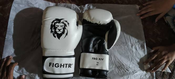 FIGHTR boxing gloves FBG XIV