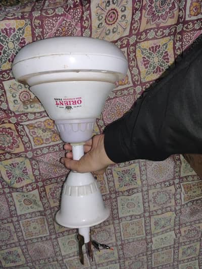 Ceiling fan For Sale