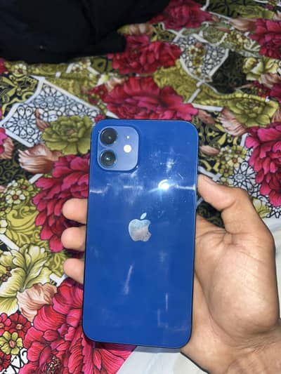 I phone 12 Official PTA Aproved