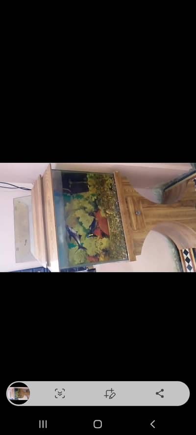 selling black shark pair with it aquariam