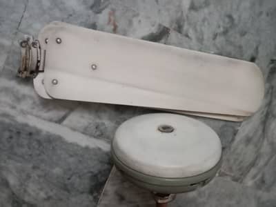 Celling Fan 56" Sale Coper Breezy Company