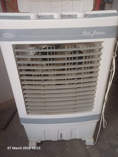 Jo iski condition Hai 10 by 10