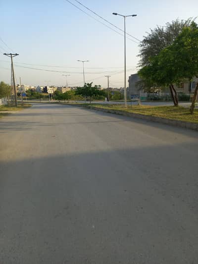 Main Double Road Of Back