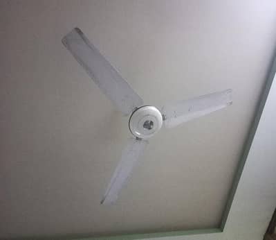 fan for sale