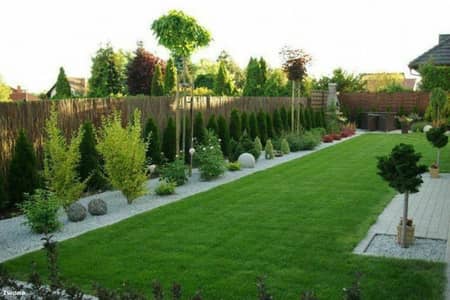 Ali Bhai nurseries 
