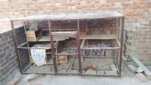 pigeon cage for sale 7by4 RS 7000 num 03707632687