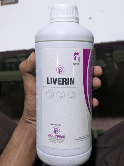 Ando wali dwai murghi KY Liye