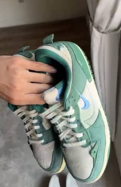 Nike SB Dunk Low Retro 2