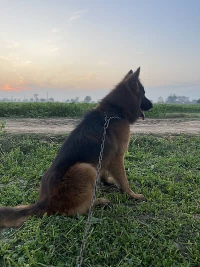 For sale more details inbox