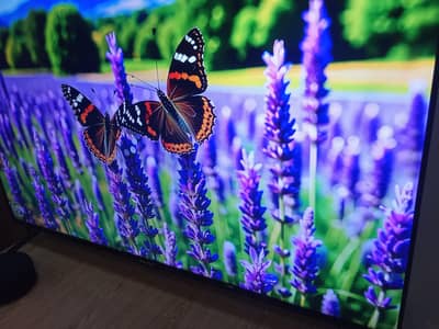 ecostar android led tv 55 inchs