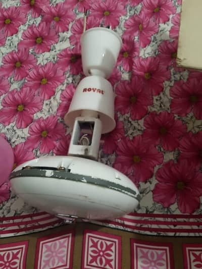 Ceiling fan For Sale