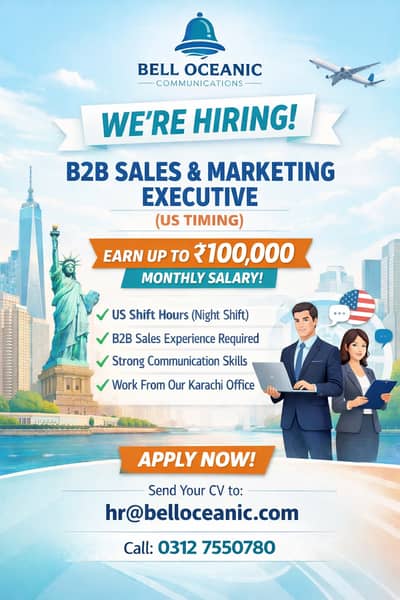 B2B Sales and Marketing Executive