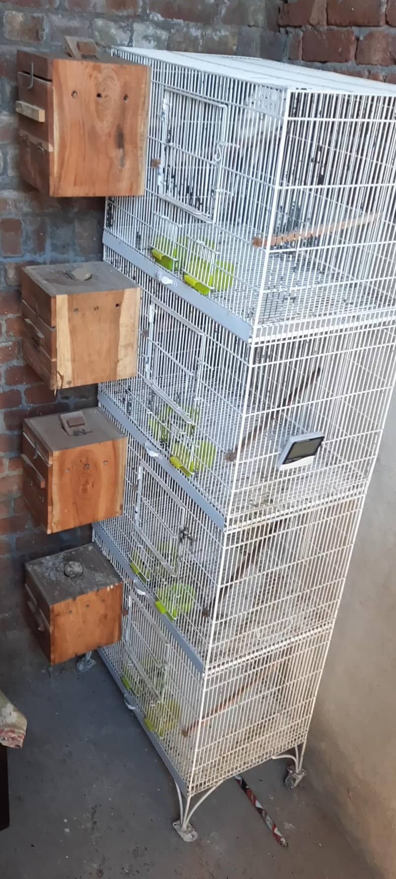 Tower Cage 4 Portion 2