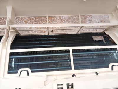 orient ac 1.5 all ginean