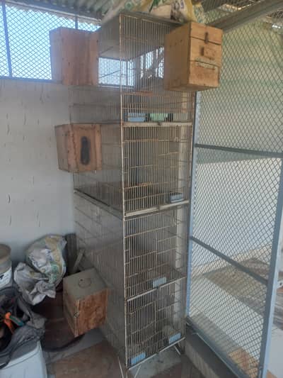cage and breeding boxes