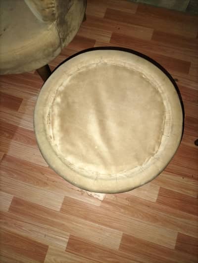 2 sofa type chairs skin color